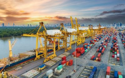 Assessment of the Workforce Needs of the Warehousing/Distribution Industry in the Region Surrounding Port Newark/Port Elizabeth