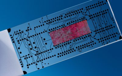 Supply and Demand Research in Nanotechnology