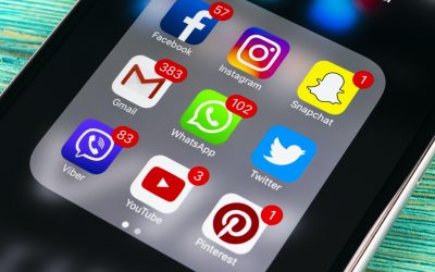 Social Networking for Workforce Professionals: A Primer