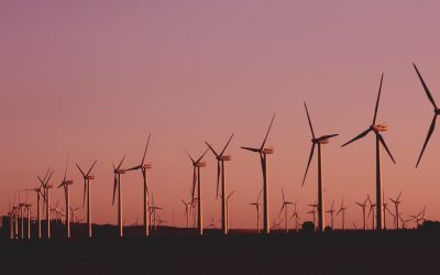 Employer Insights: Skill and Workforce Needs for Green Jobs in New Jersey
